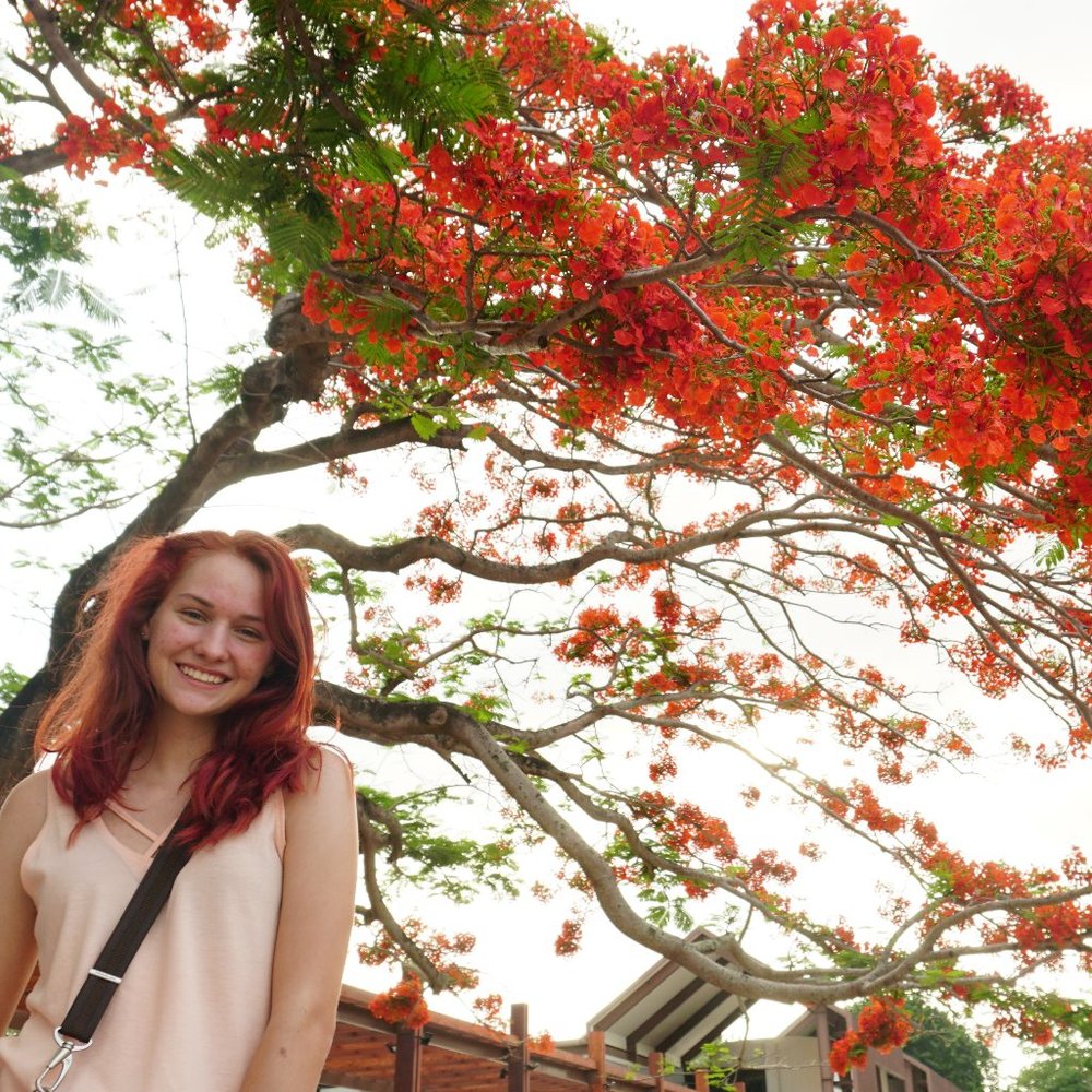 Meet your Posher, Your girl